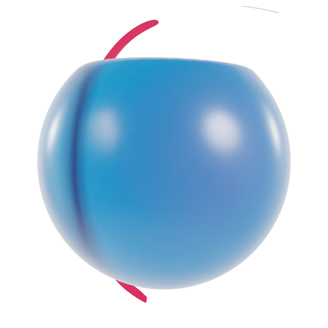 frame 0001.webp